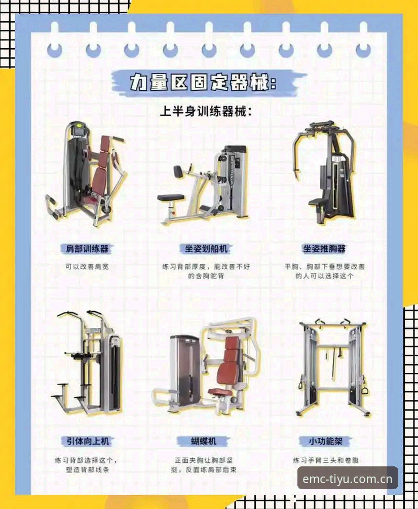 EMC体育品牌 EMC体育平台装备选购与使用实用技巧:老用户手把手教你选对装备
