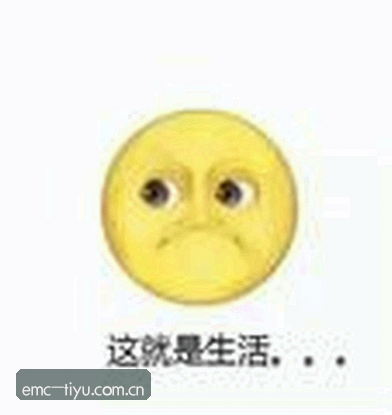王磊